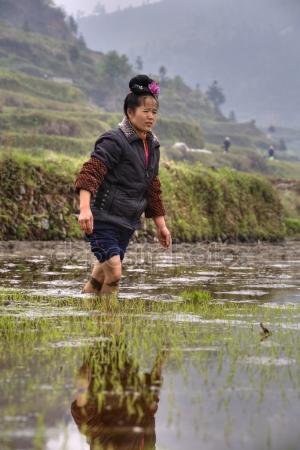 Простые работящие крестьянки в китайской провинции