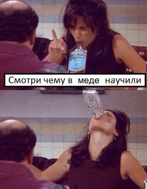 Скотсети и прочие интернеты 19.02.18