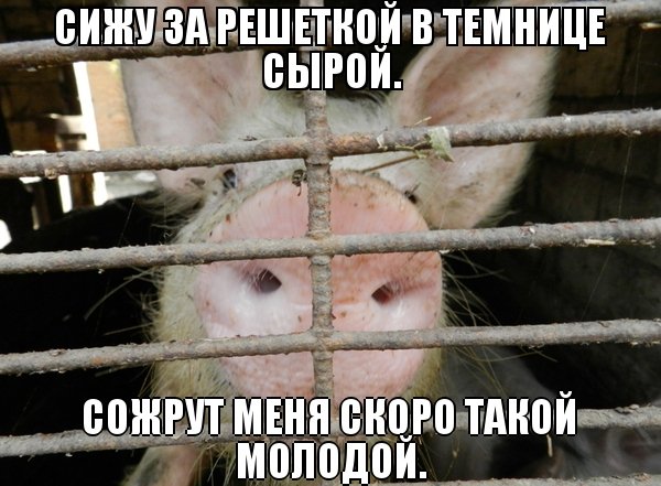 Запад обвинил Россию во вторжении в Грузию в 2008 году 