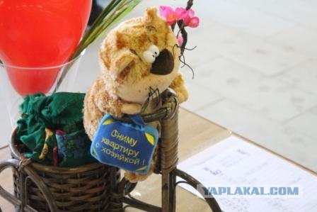 Котовторник 27.03.2012