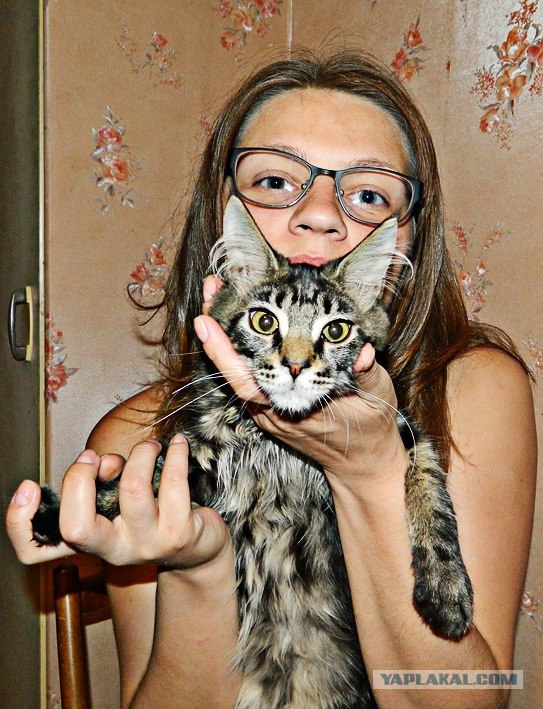 Котовторник 24.04.2012