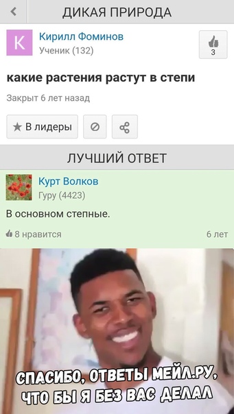 Улыбки ради