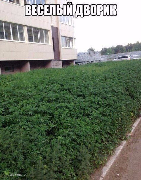Прикольные картинки абавсём