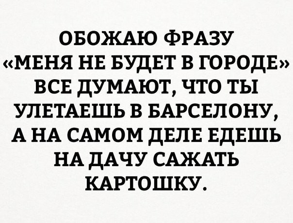 Анекдоты, соц-сети, истории и картинки с надписями