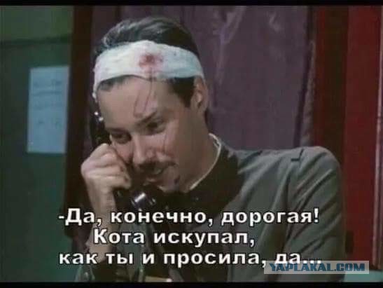 Вещи, до которых человечеству стоило додуматься гораздо раньше