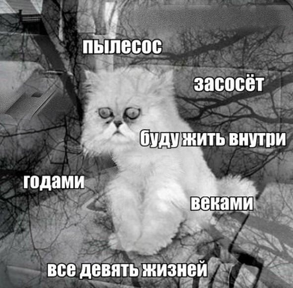 Белиссиммо