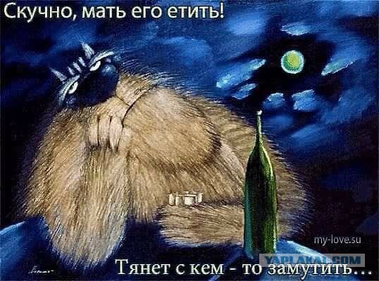 Картинки с надписями и анекдоты 28.09.19