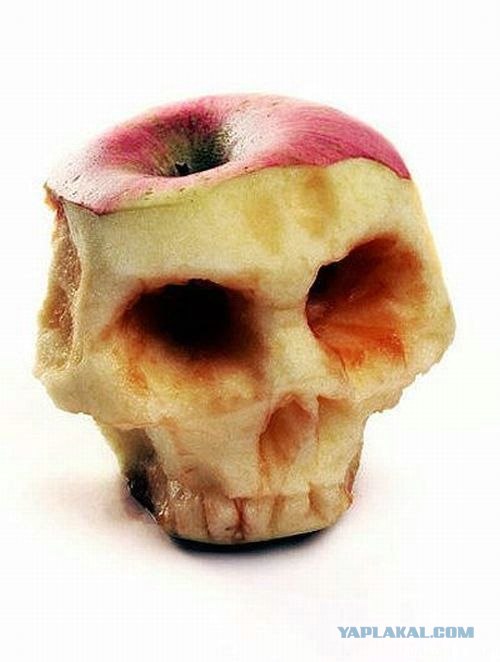 Креатив от Kevin Van Aelst