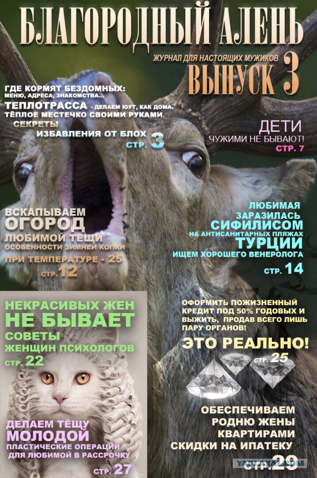 Чу! Чей стон раздаётся? Ах да, это бабье стенает об наличии отсутствия "настоящих мущщин"