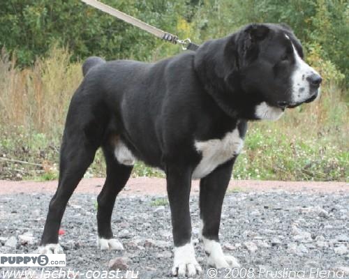 За нападение среднеазиата на русских будут судить