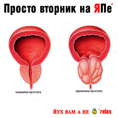 Просто вторник!