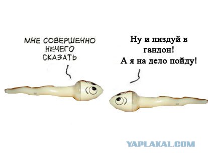 Фотожаба: Когда нечего сказать...
