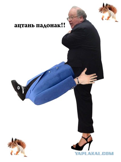 Битва фотожаберов (Команда №3)