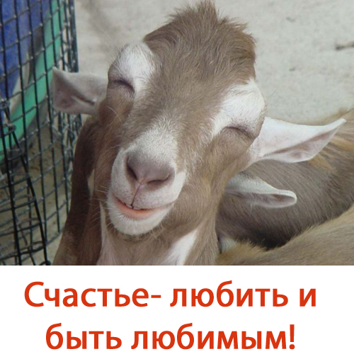 Простое человеческое счастье в картинках