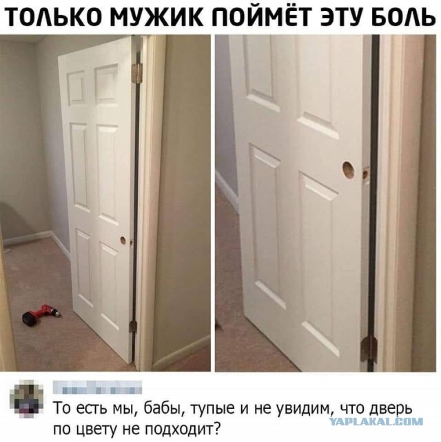Фотки и картинки: юморные и красивые, забавные и милые 26.10.20
