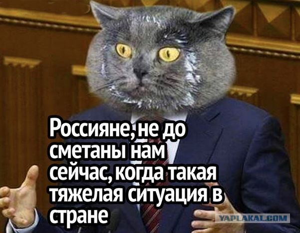 Две трети учителей школы в Серове отстраняют от работы на год из-за отказа привиться от COVID