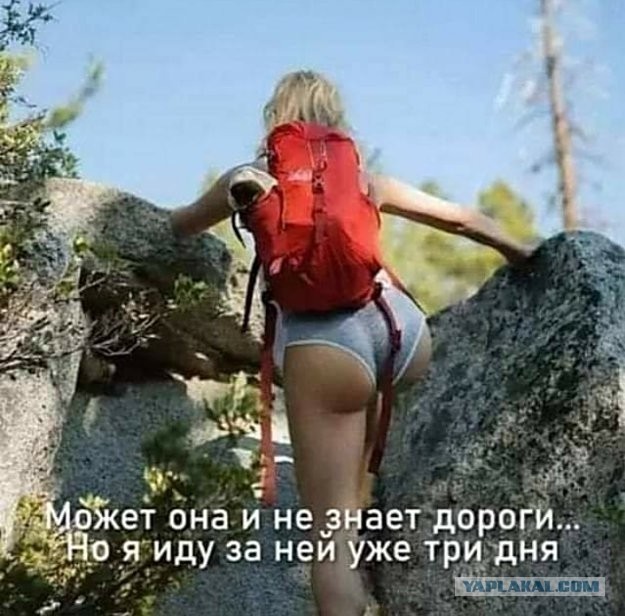 Картинки и Мемы про это