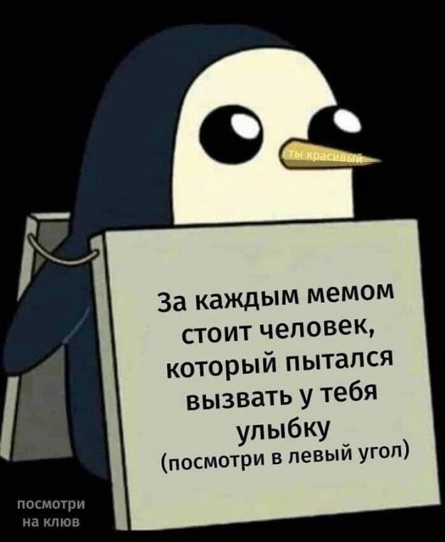 Насохранял