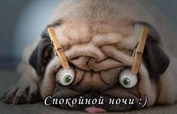 Вот вам новая порция аморального юмора 18+