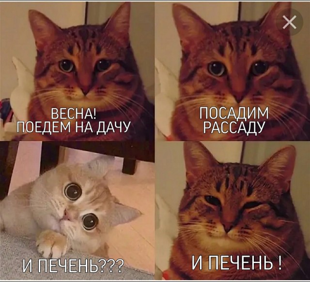 Аморальная тридцатка! 26.05.21