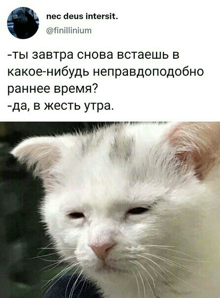 Алкопост 24.09.21