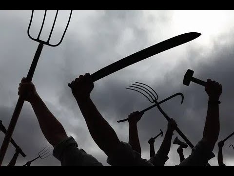 "У нас 2 года нет нормального питания!" Депутат жалуется на "ужасные" условия работы в Госдуме