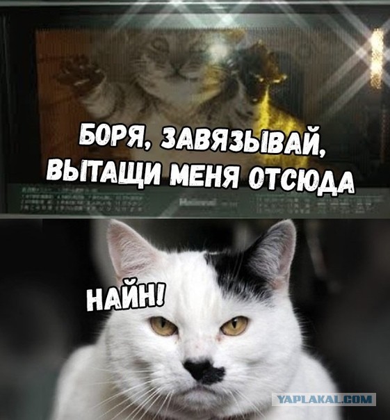 Так себе картинки 01.11.2021