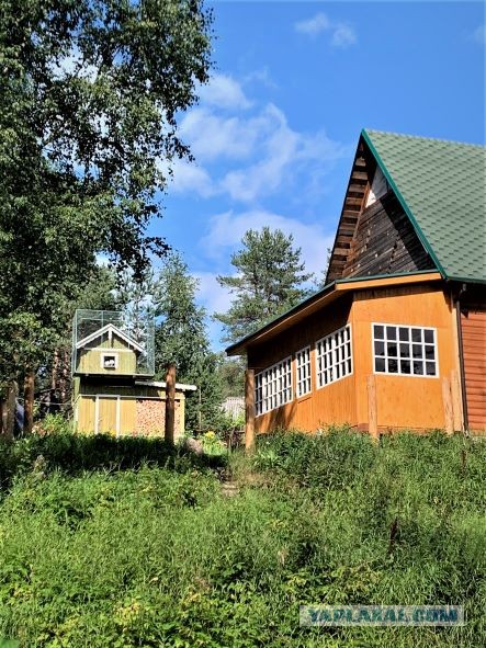 Киноразборка. Радиотехника фильма "Любовь и голуби"