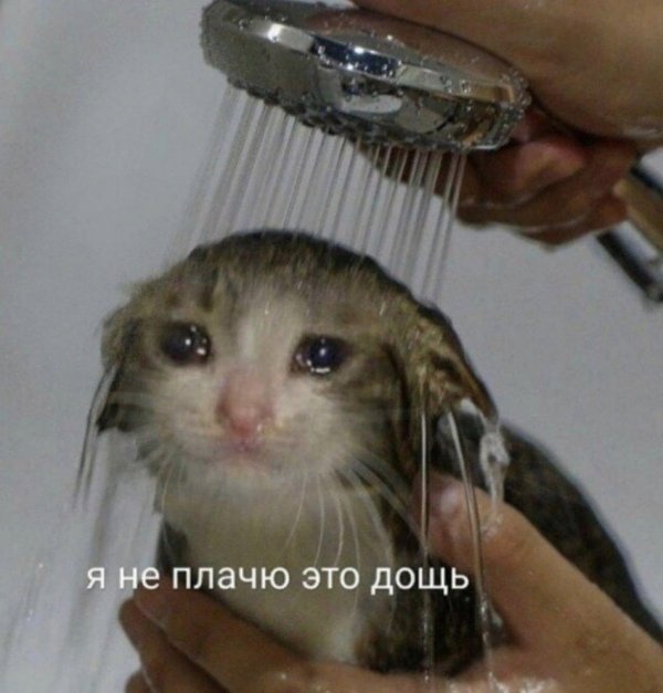 Немного пятничных и где то смешных картинок