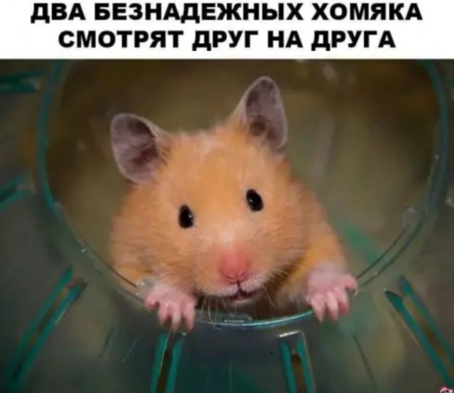 Так себе картинки 07.05.22