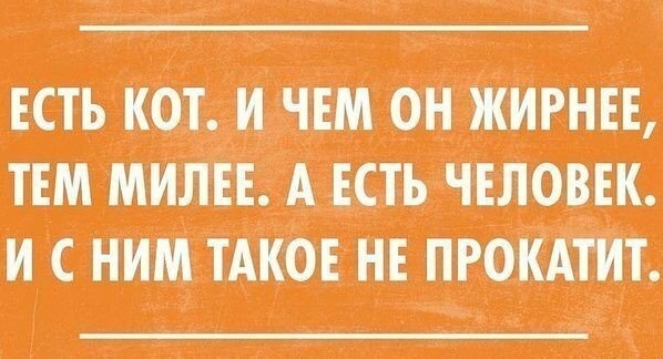 16761271.jpg