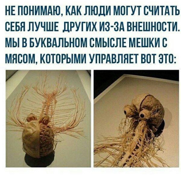 Так себе картинки 02.06.22