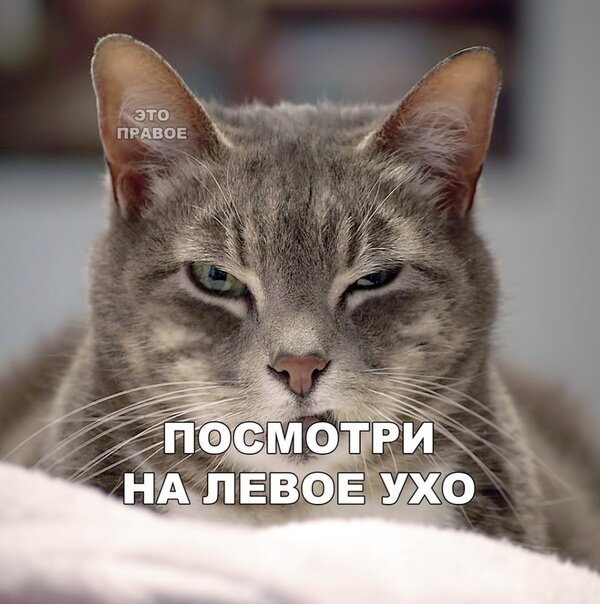 Так себе картинки 24.06.22