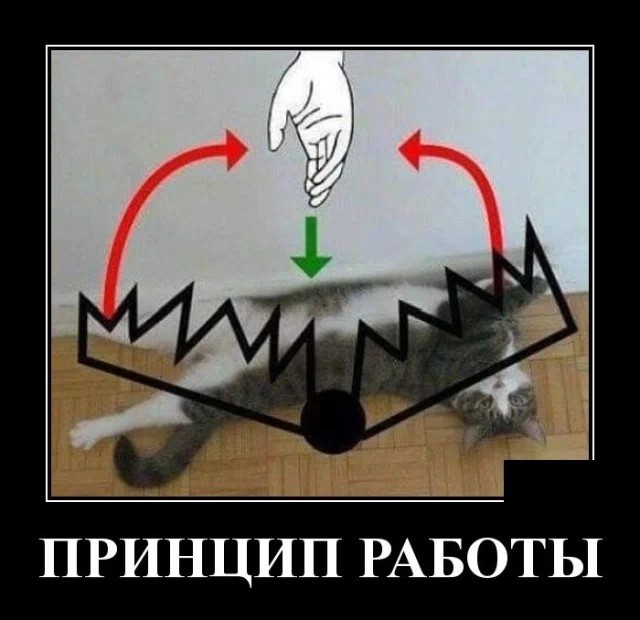 Картинки с надписями 10.07.22