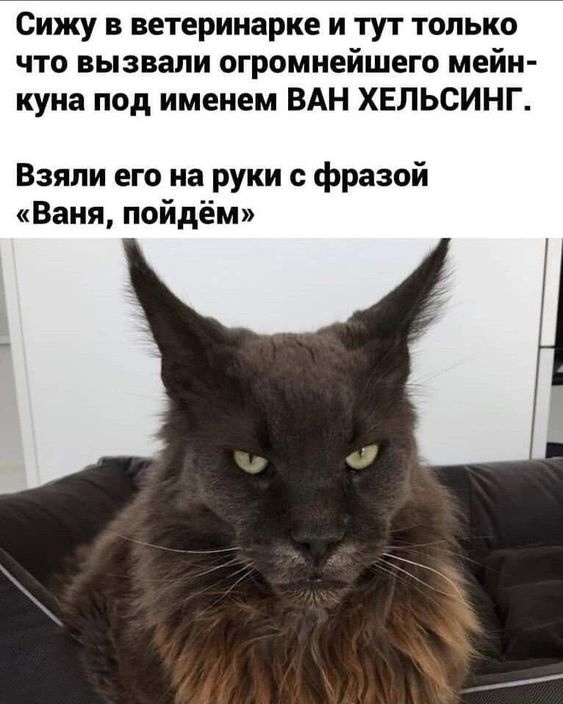 Так себе картинки 18.10.22
