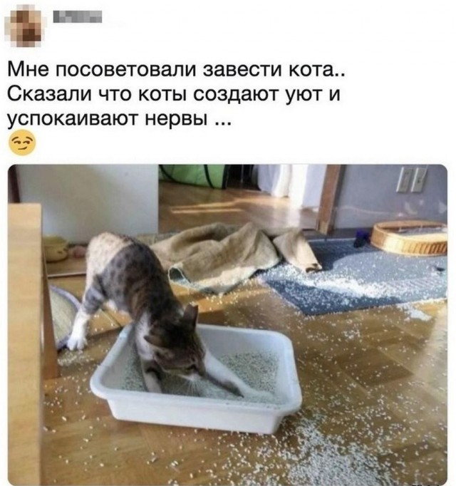 Картинки и мемы для настроения - 119