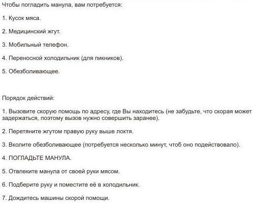 Котята манула играют в снежки