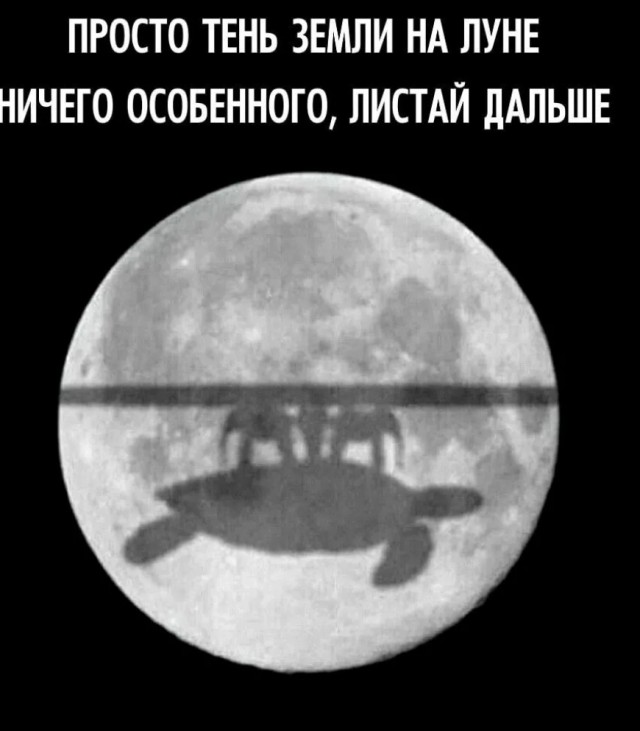 Подборка картинок 04.05.2023