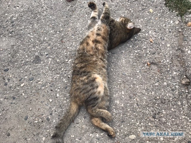 Ценность женщины глазами мужчины