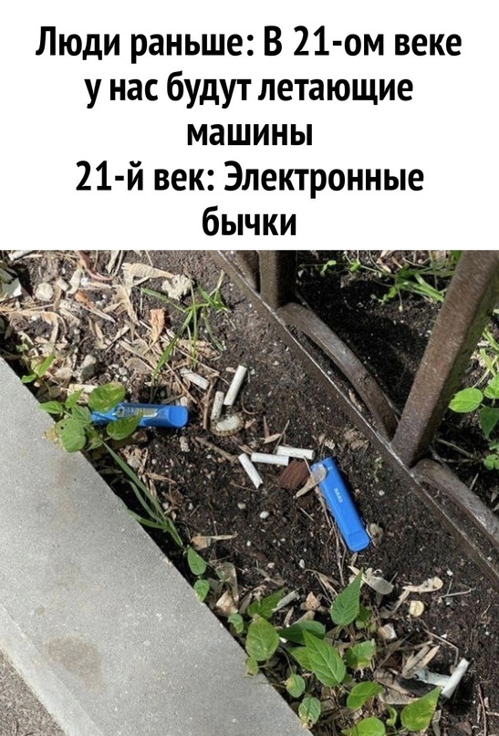 Так себе картинки 24.07.23