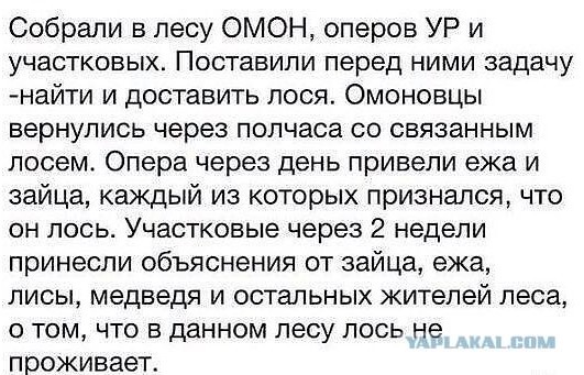 Про современную полицию.