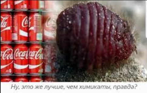 Что, в России еды не хватает?