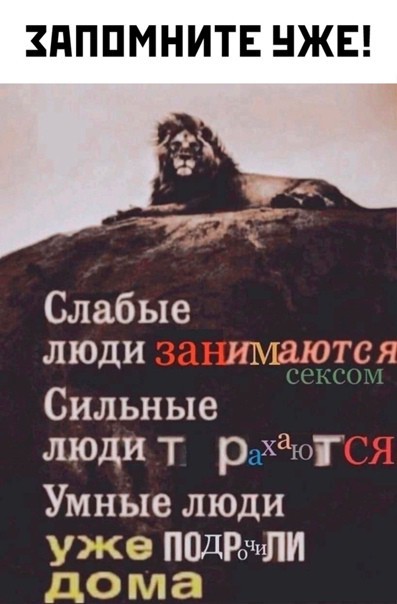 Всего понемногу. От 19.01.24