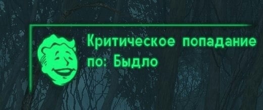 Проект о конфискации имущества за фейки об армии принят Госдумой единогласно