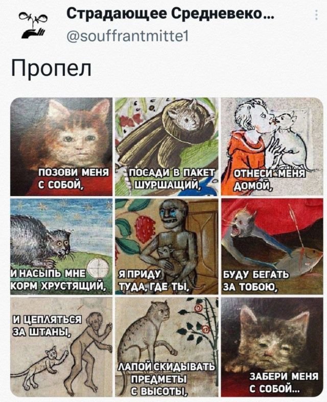 Жизнь домашнего приюта "Котоленд" 429