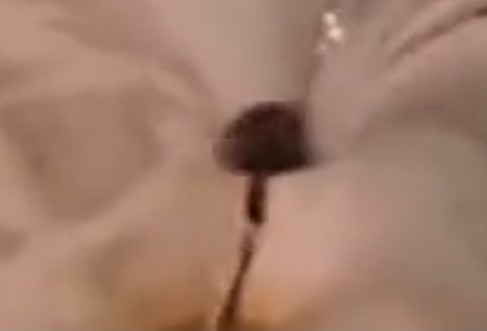 Черная дыра и горизонт событий
