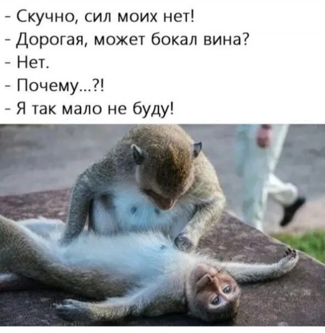 Так себе картинки 30.10.24