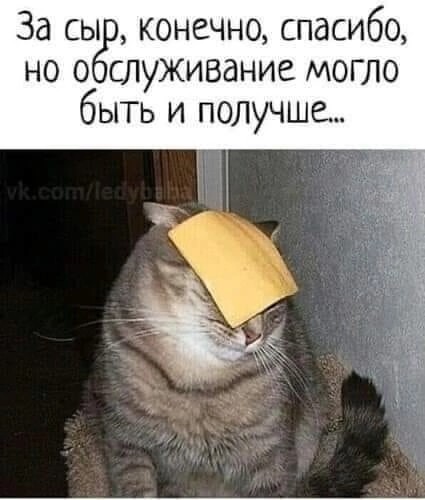 Пятничная солянка