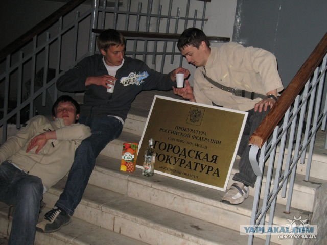 Дикие фото из социальных сетей