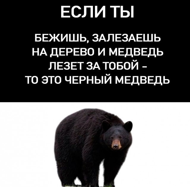 Так себе картинки 06.03.25